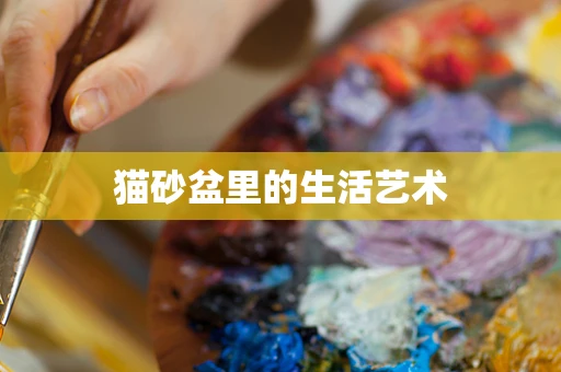 猫砂盆里的生活艺术