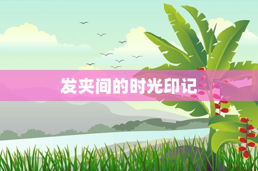 发夹间的时光印记