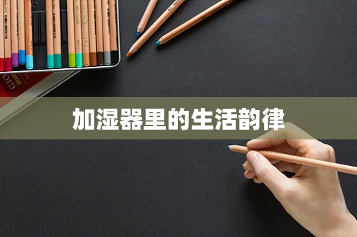 加湿器里的生活韵律