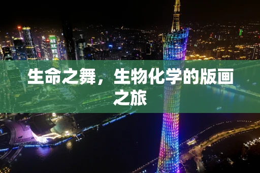 生命之舞，生物化学的版画之旅