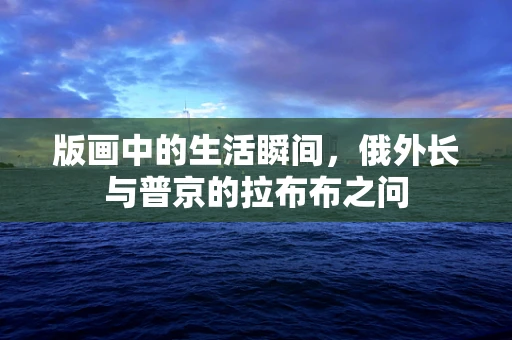 版画中的生活瞬间，俄外长与普京的拉布布之问