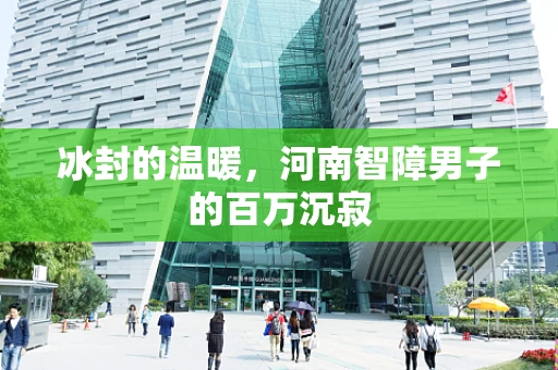 冰封的温暖，河南智障男子的百万沉寂