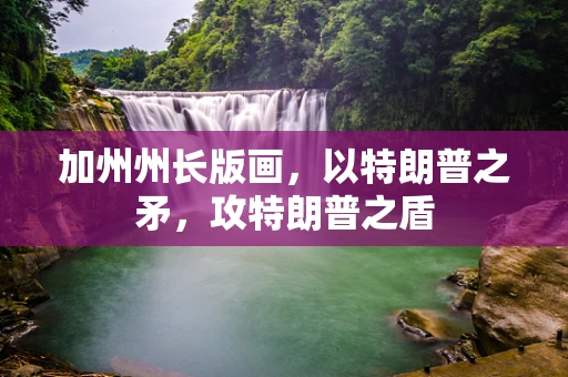加州州长版画，以特朗普之矛，攻特朗普之盾